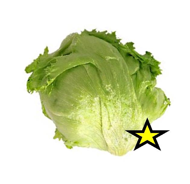 Salat Isberg 0