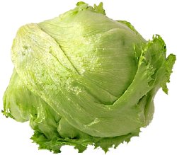 Salat Isberg 1
