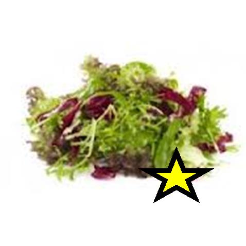 Salat Restaurant 400gr 0